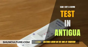 Where to Get a COVID Test in Antigua: A Quick Guide