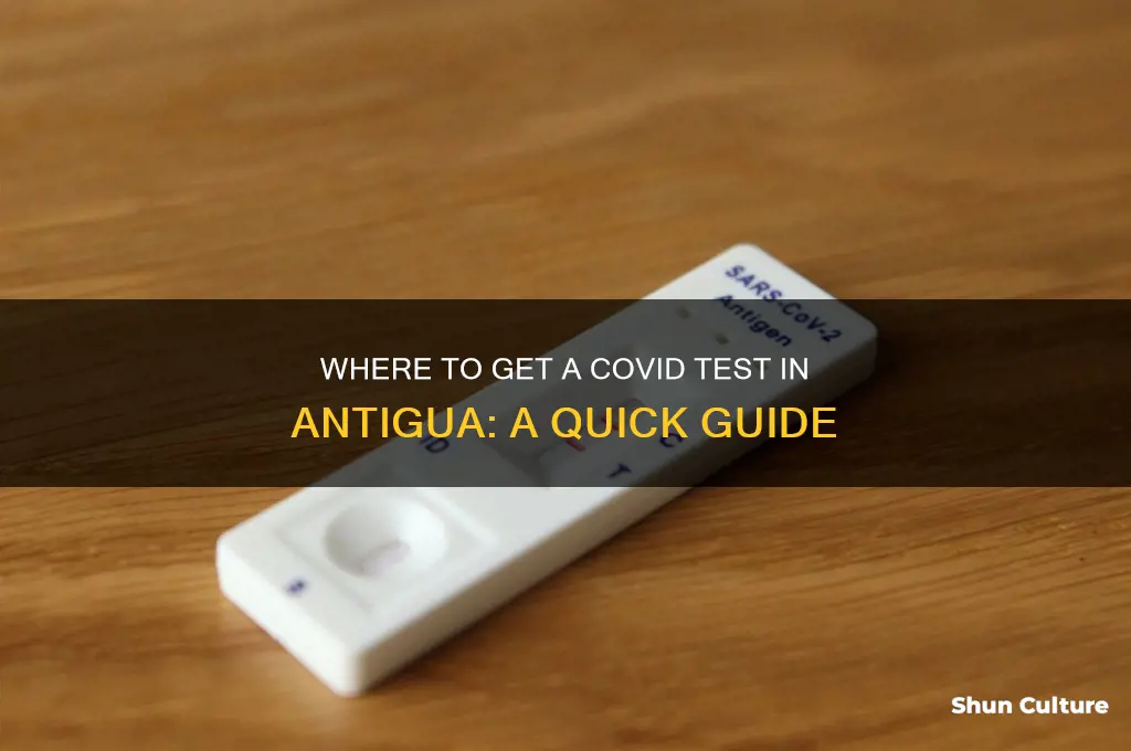 can I get a covid test in antigua