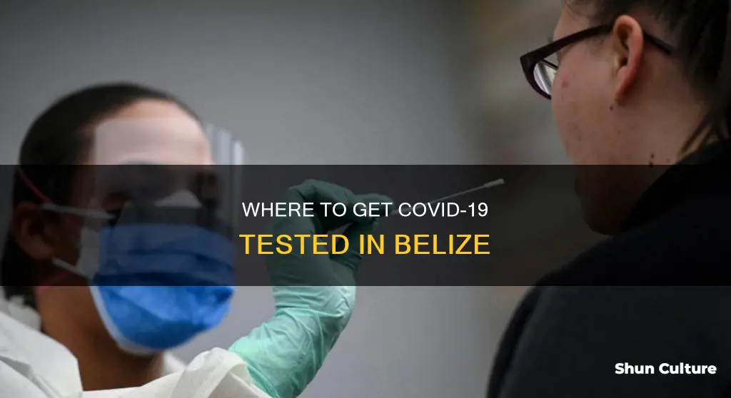 can I get a covid test in belize