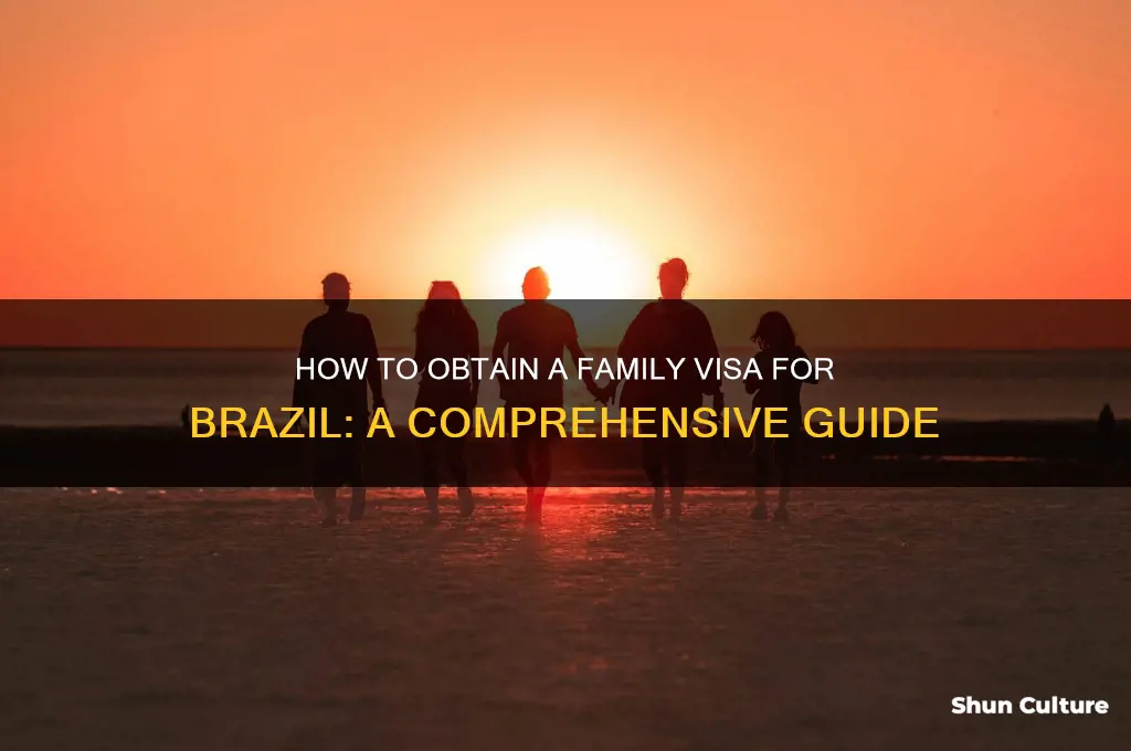 can I get a family visa for brazil