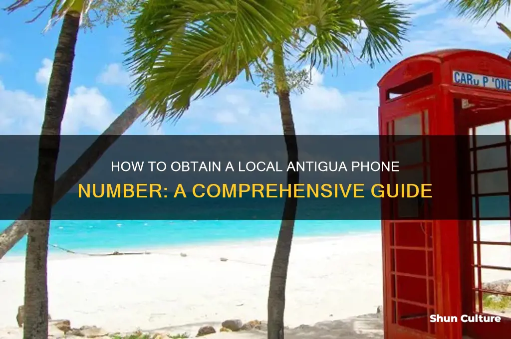 can I get a local phone number in antigua