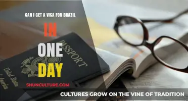Urgent Brazil Visa: Is One-Day Processing Possible?