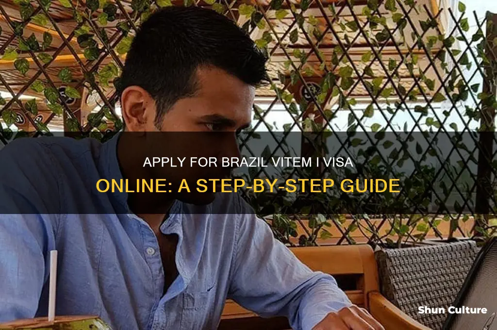 can I get a vitem 1 visa for brazil on-line