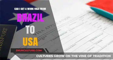 How to Obtain a US Work Visa from Brazil: A Comprehensive Guide