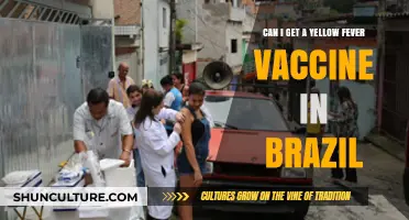 Yellow Fever Vaccine in Brazil: Availability, Locations, and Travel Tips