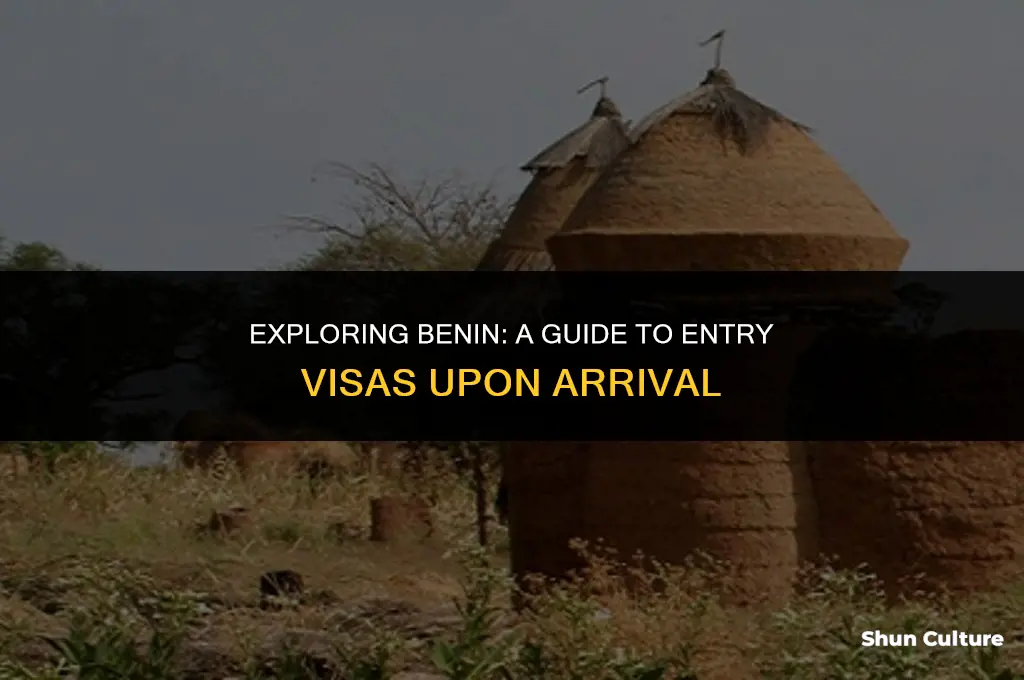 can I get an entry visa for benin upon arrival