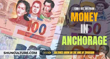 Anchorage's Bolivian Money Access: A Guide