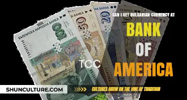 Exploring Currency Exchange Options: Can You Get Bulgarian Lev at Bank of America?