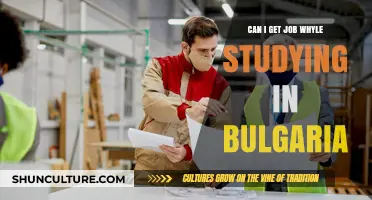 Balancing Work and Studies in Bulgaria: A Guide for International Students