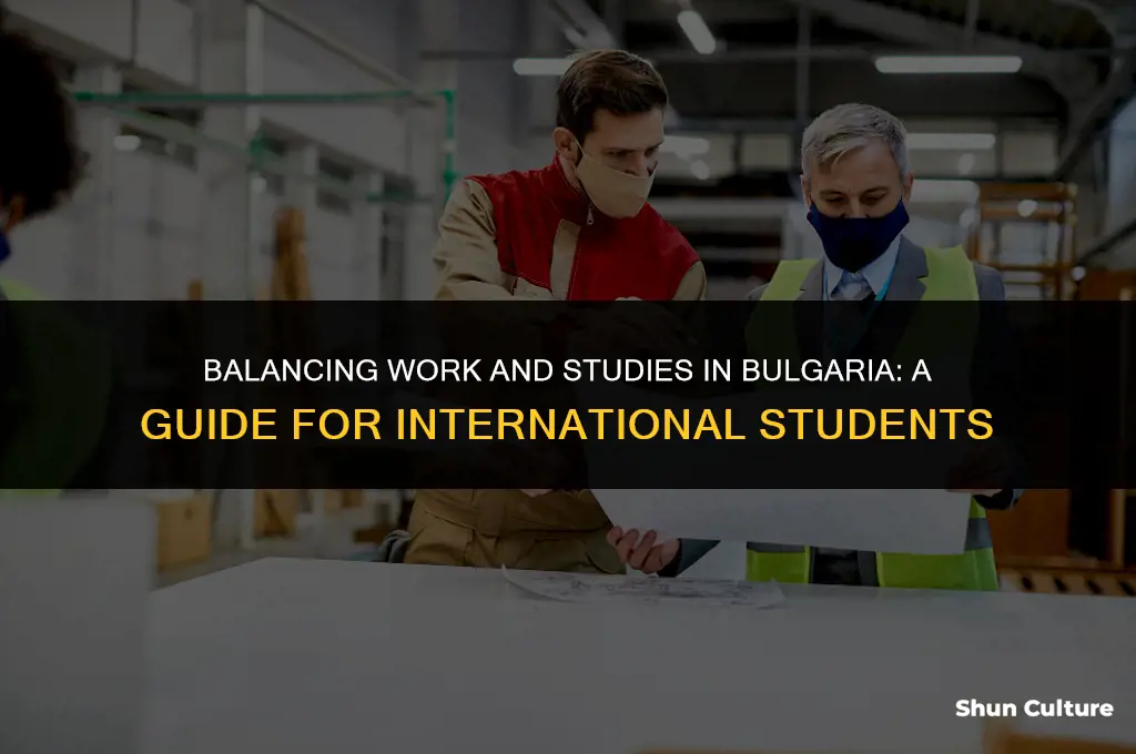 can I get job whyle studying in bulgaria