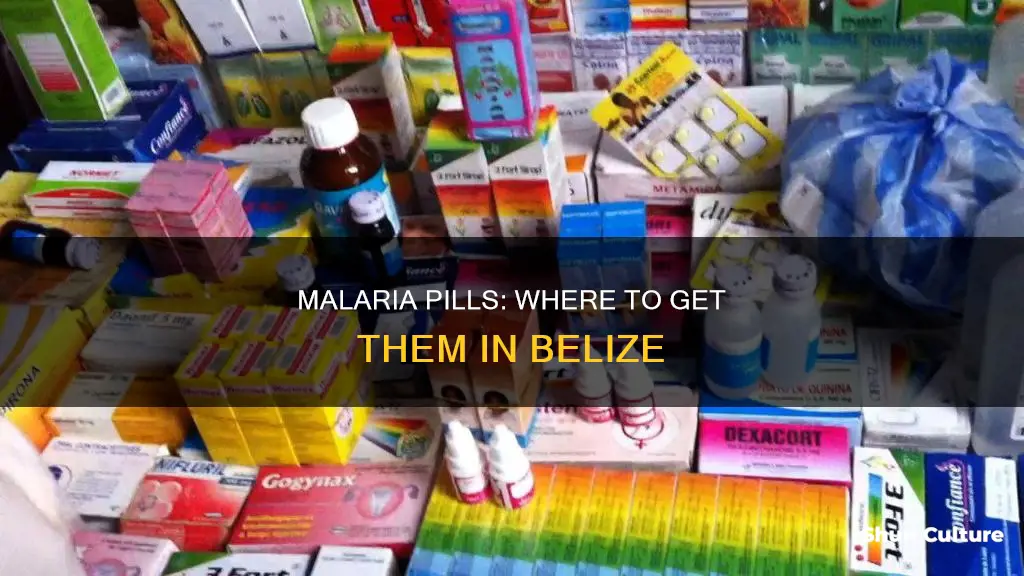 can I get malaria pills in belize