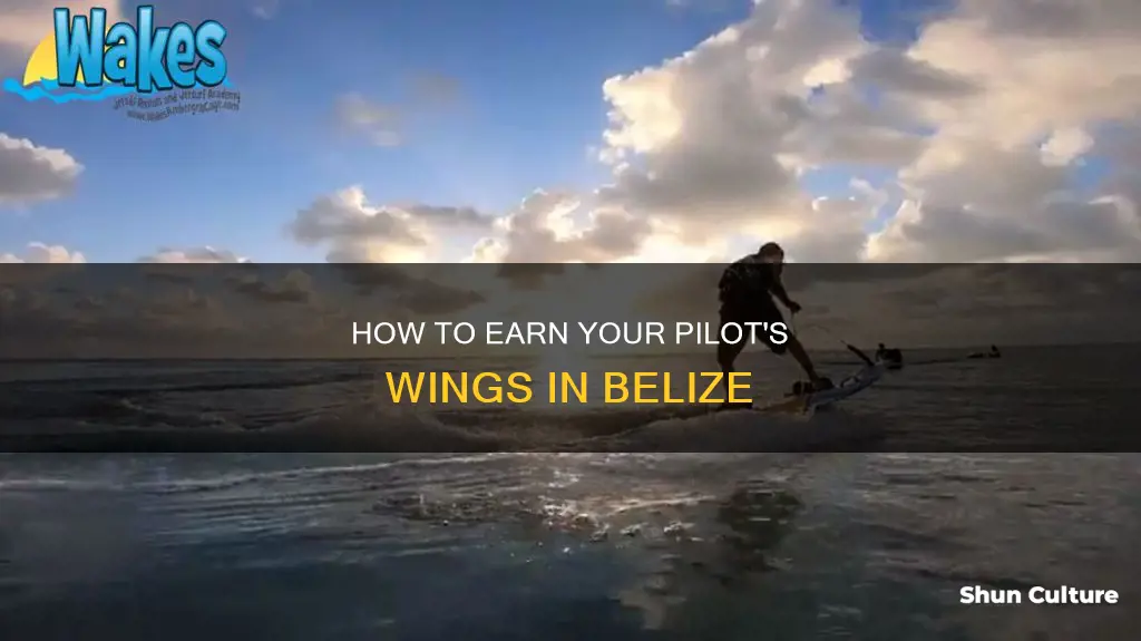 can I get my pilots license in belize