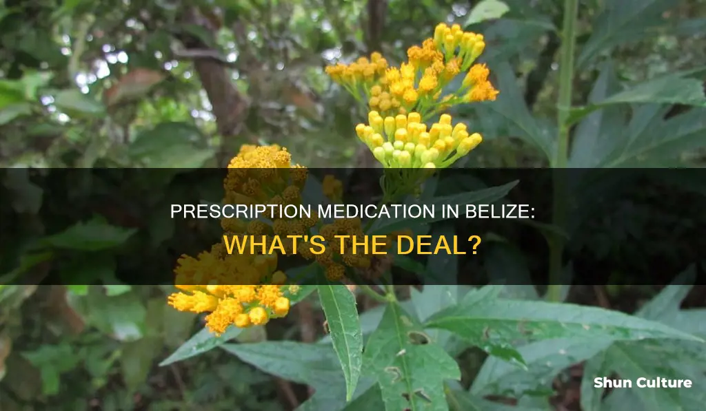 can I get my prescription medicine in belize