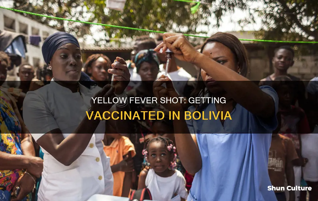 can I get my yellow fever shot in bolivia