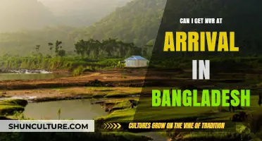Obtaining NVR Upon Arrival in Bangladesh: What You Need to Know