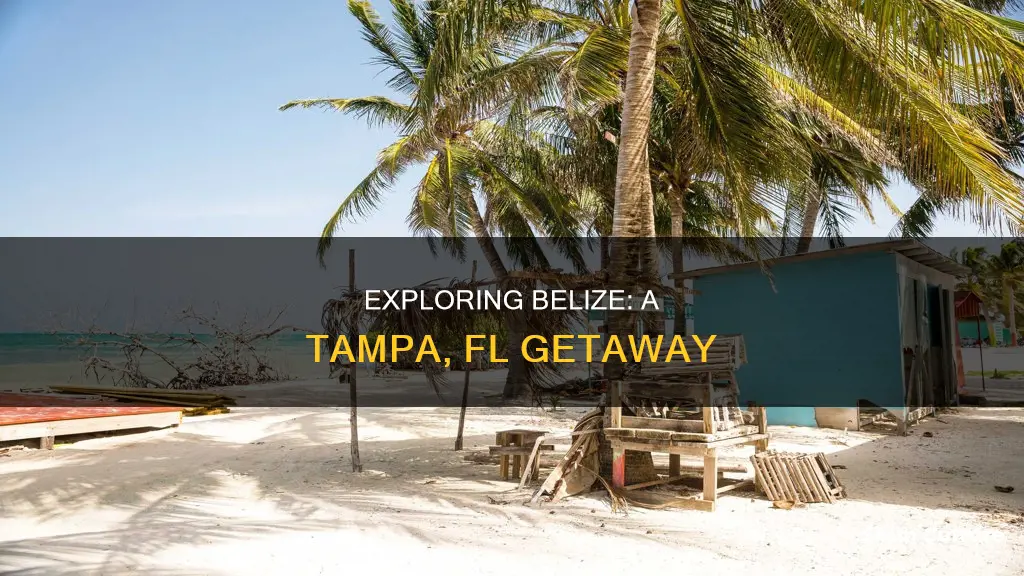 can I go to belize out of tampa fl