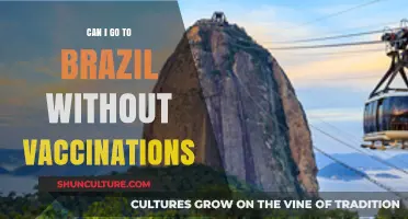 Traveling to Brazil: Vaccination Requirements and Health Tips for Visitors