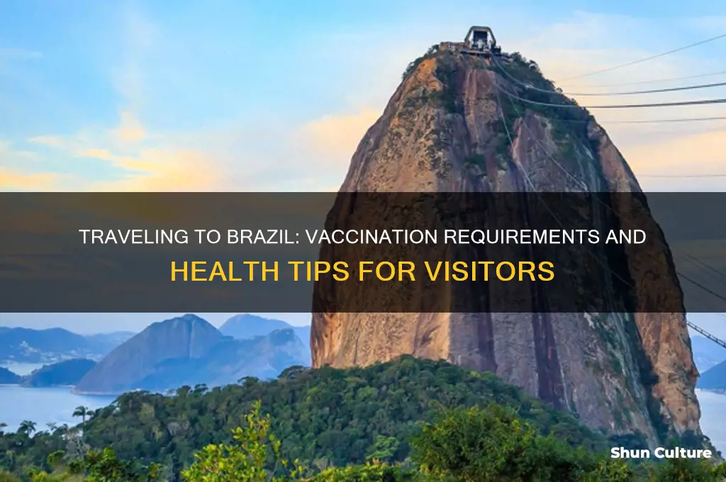 can I go to brazil without vaccinations