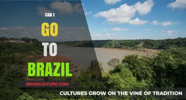 Exploring Brazil: Travel Requirements, Safety Tips, and Must-See Destinations