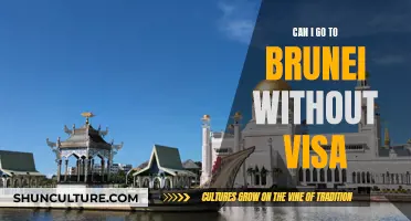 Easy Visa-Free Entry to Brunei for Travelers