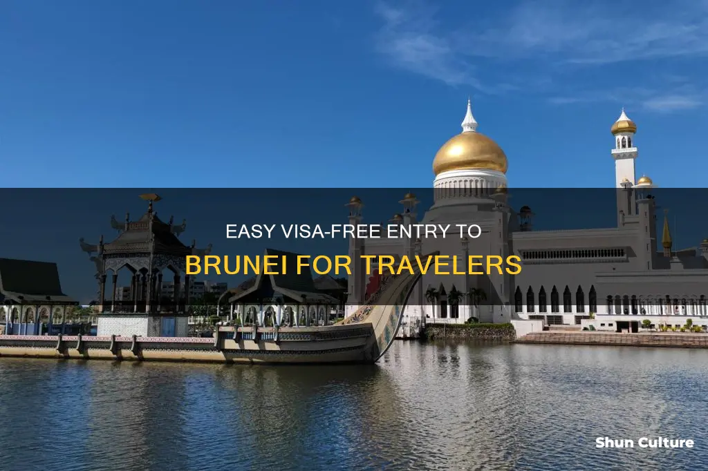 can I go to brunei without visa