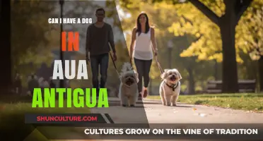 Can You Own a Dog in AUA Antigua? A Pet Owner's Guide