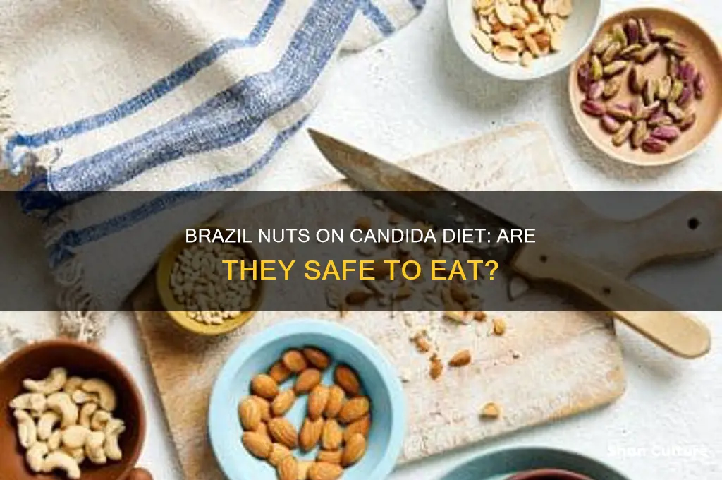 can I have brazil nuts on candida diet