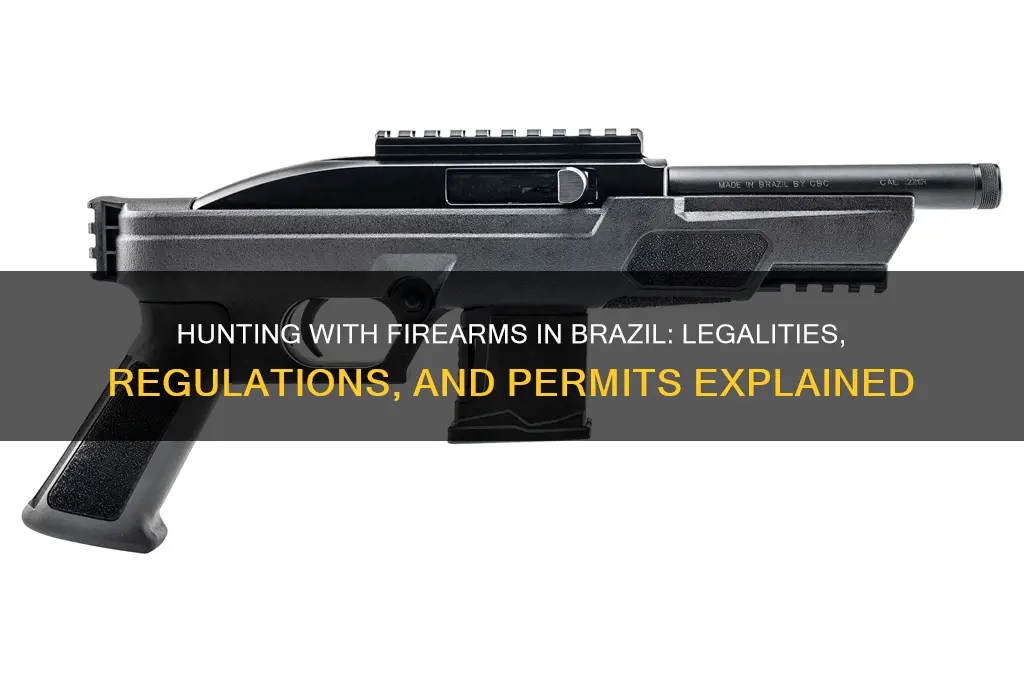 can I hunt with a gun in brazil