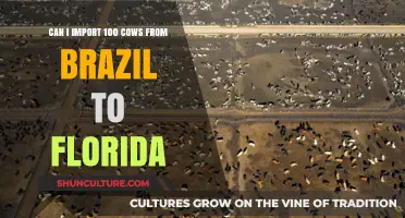 Importing 100 Cows from Brazil to Florida: Legalities and Logistics