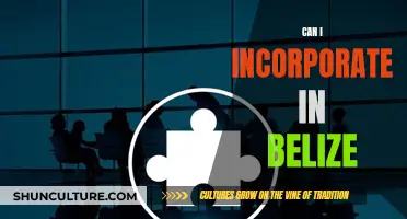 Incorporate in Belize: What You Need to Know