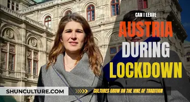 Lockdown Travel: Can I Leave Austria?