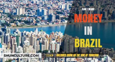 Earning Opportunities in Brazil: Exploring Income Potential for Expats and Locals