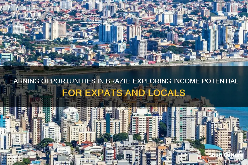 can I make money in brazil