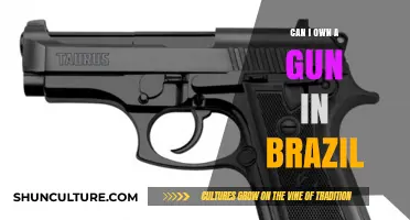 Owning a Gun in Brazil: Legal Requirements and Restrictions Explained