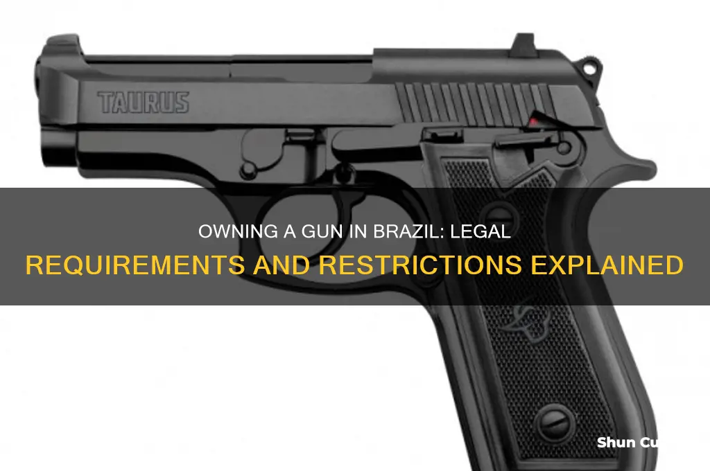 can I own a gun in brazil
