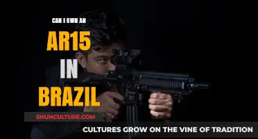 Owning an AR-15 in Brazil: Legalities and Restrictions Explained