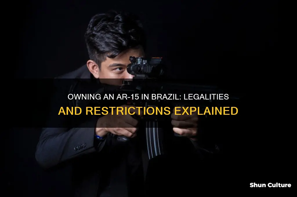 can I own an ar15 in brazil