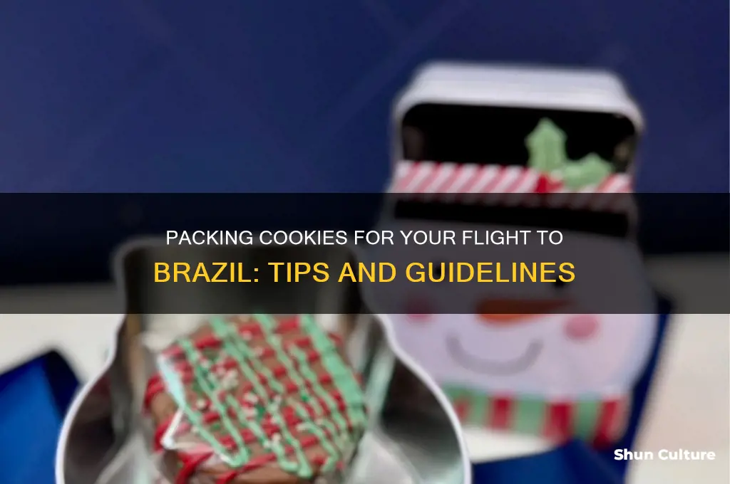 can I pack cookies on flight to brazil