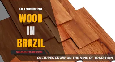 Where to Buy Pine Wood in Brazil: A Comprehensive Guide