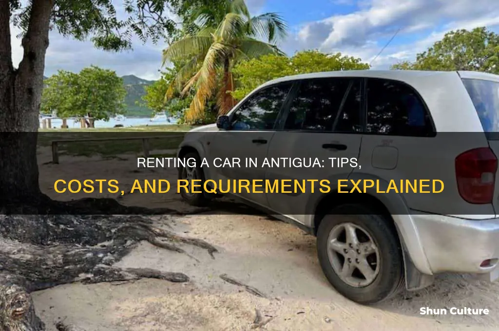 can I rent a car in antigua