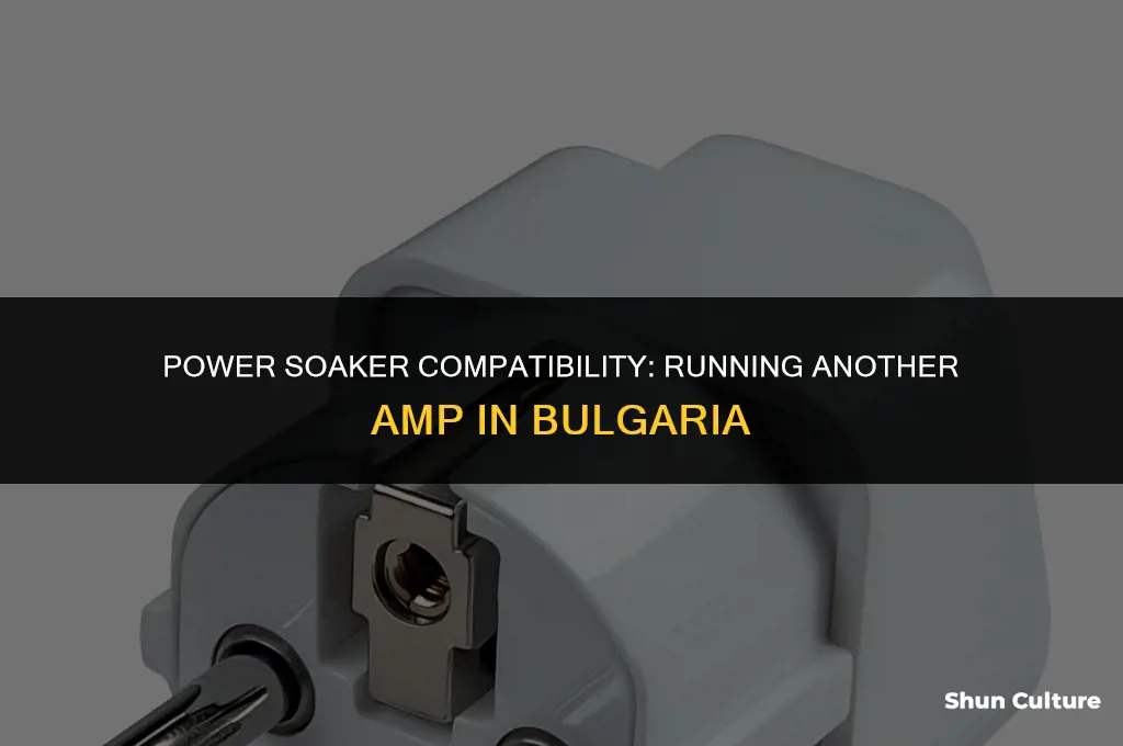 can I run another amp off of bulgaria