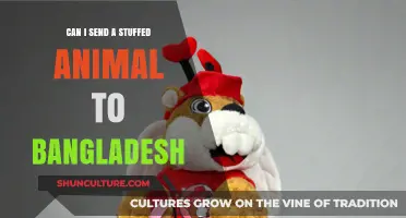Shipping Stuffed Animals to Bangladesh: Tips, Costs, and Customs Rules