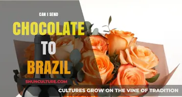 Shipping Chocolate to Brazil: Rules, Tips, and Best Practices