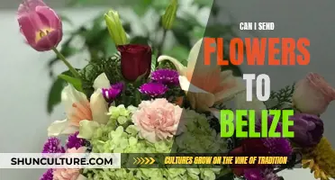 Sending Flowers to Belize: Is It Possible?