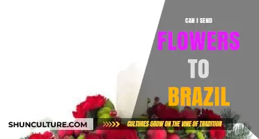 Sending Flowers to Brazil: Tips, Costs, and Best Practices
