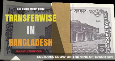 Sending Money from Wise (TransferWise) to Bangladesh: A Complete Guide