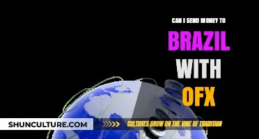 Sending Money to Brazil with OFX: A Comprehensive Guide
