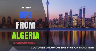 Shipping from Algeria: UPS Options, Costs, and International Delivery Guide