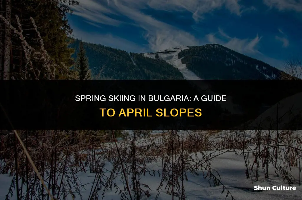can I ski in bulgaria in april