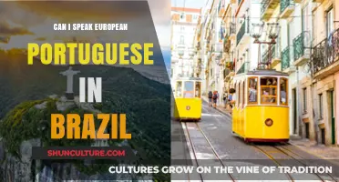 Speaking European Portuguese in Brazil: Will You Be Understood?